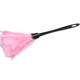 Staubwedel, rosa